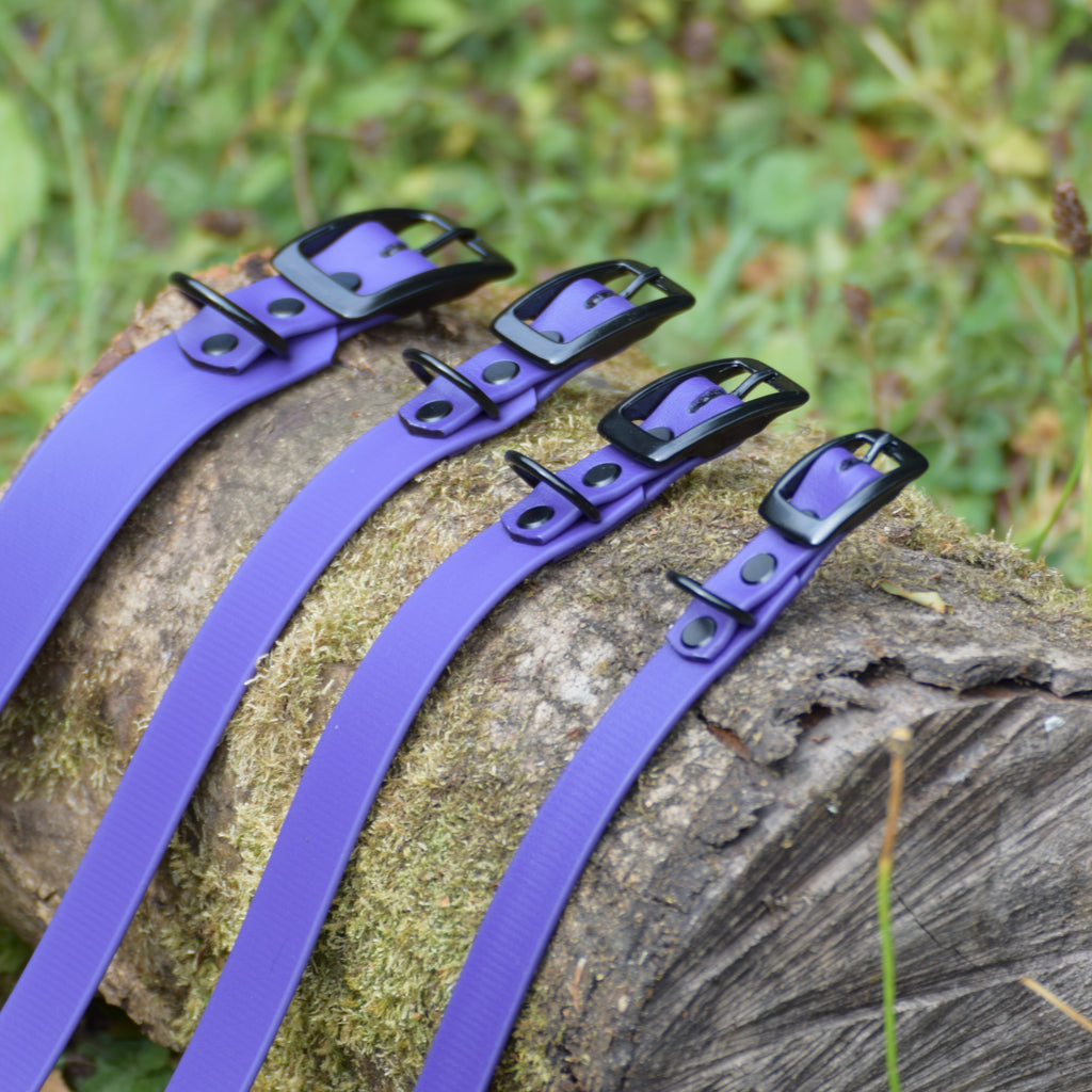 Hundehalsband Beta Biothane® – Purple