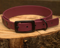 Hundehalsband Beta Biothane® – Bordeaux Rot