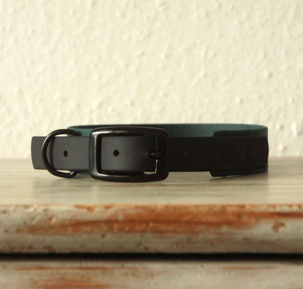 BioThane® Hundehalsband von LURO BERLIN in der Farbe Dunkelgrün Schwarz in Detailaufnahme